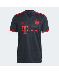 Adidas Bayern 3rd Jsy 2022 - Grey
